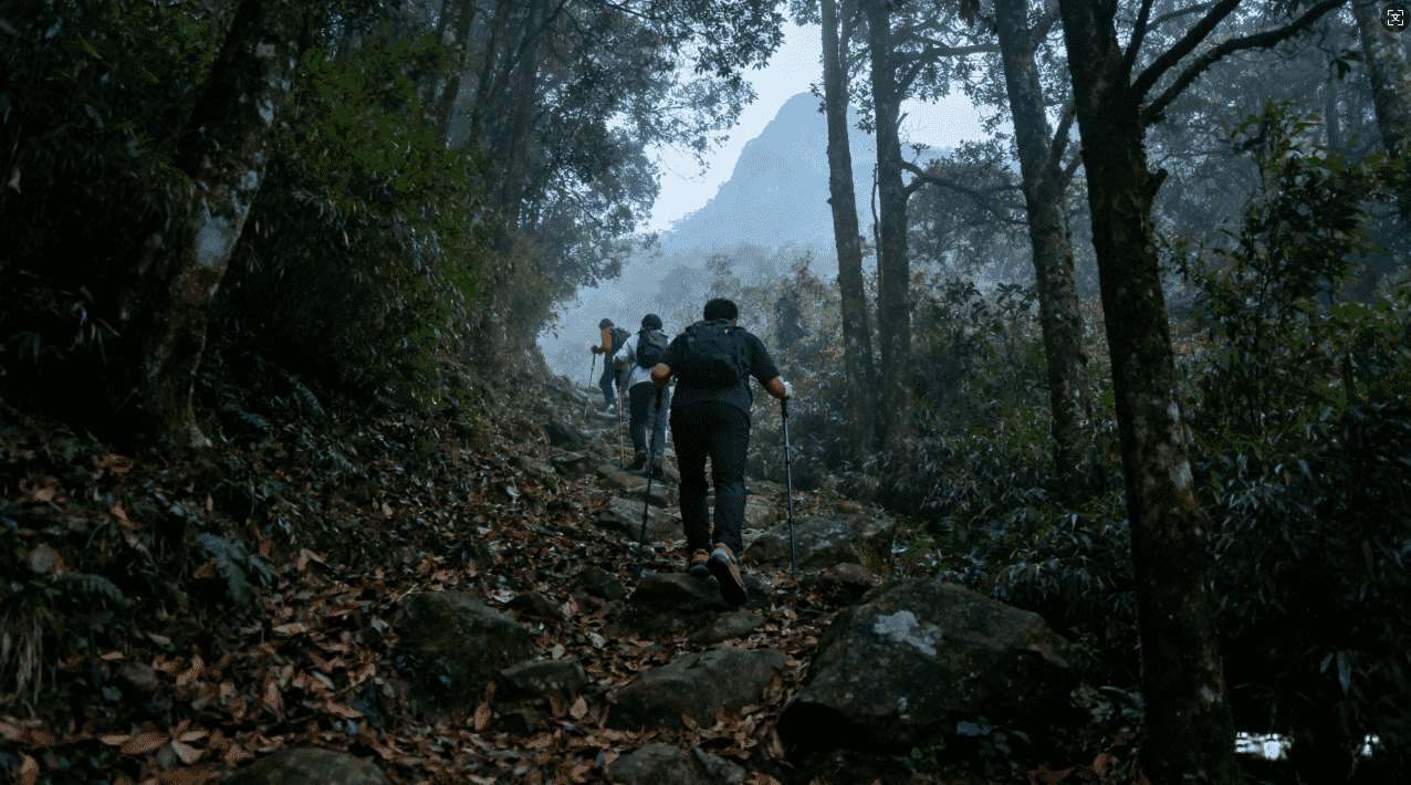 黑洞加速器iOS免费安装指南：诚意推荐快速获取方法